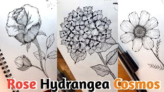 How To Draw Flowers || ROSE, HYDRANGEA, COSMOS Step By Step Tutorial