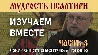 Мудрость Псалтири: Изучаем вместе. Часть 3. Псалмы 7-8