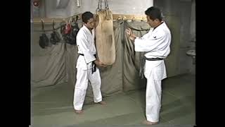 NIPPON KEMPO (KARYU NO KATA EJEMPLO) 日本拳法 Ниппон кэмпо