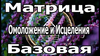 Самая Мощная Матрица Гаряева Омоложение и Исцеления Базовая.