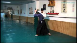 Aikijujutsu  1. Introducción