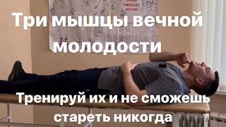 Если это упражнение 1 раз делаешь перестаешь стареть навсегда. Мышцы вечной молодости