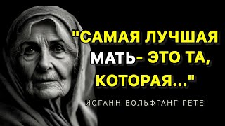 Шок Правда. Невероятно Жизненные Цитаты про родителей