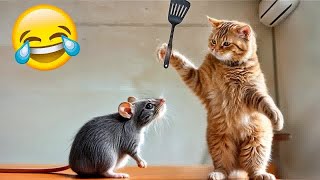 So Funny! Funniest Cats and Dogs 😍🐱 Best Funny Animal Videos 😂😘