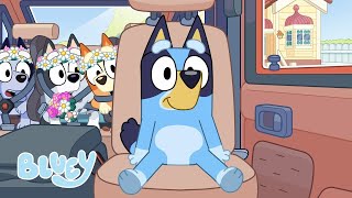 Grandes Sorrisos com Bluey 😁 💙 | Diversão com Bluey e Bingo | Bluey Português Brasil Canal Oficial