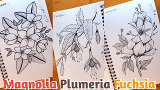 How To Draw Flowers 💐 MAGNOLIA,  PLUMERIA,  FUCHSIA