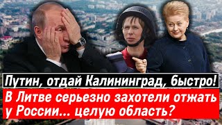 Путин, отдай Калининград, быстро! В Литве серьезно захотели отжать у России… целую область?