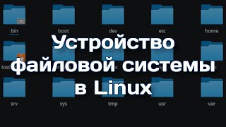 Структура файлов и каталогов в Linux