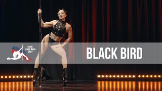 Black Bird - Elite - Czech Exotic Open 2024