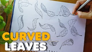 How To Draw CURVED LEAVES || How To Draw LEAF Step By Step For Beginner's || Bullet Journal