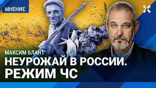 БЛАНТ: Неурожай в России: режим ЧС. Хлеб будет дорожать, максимальный рост цен — на яблоки