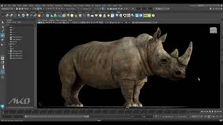 Rhinoceros 3d rendering