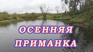 Надо знать какие приманки ставить! Осенняя рыбалка, когда рыба не берёт!