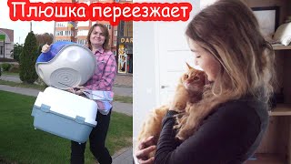 VLOG Плюшка переезжает к Насте