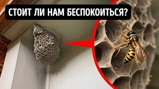 Вещи, с которыми не стоит связываться - просто отойдите