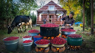 Вкус осени: Приготовление Пасты из Кизила для Консервации