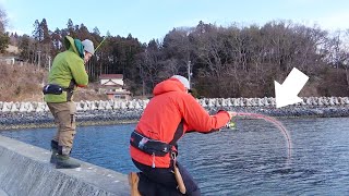 2000円でこれはバズる...！遊び感覚で新作ロッドを試してみた結果