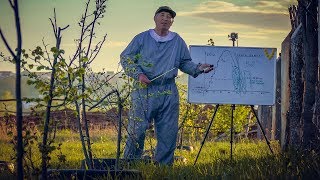 Скрытые причины гибели пчелиных семей зимой