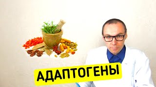 Что такое АДАПТОГЕНЫ и в чём их польза для здоровья