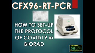 HOW TO SETUP RT-PCR in CFX96 BIORAD system #covid19