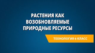 Растения как возобновляемые природные ресурсы